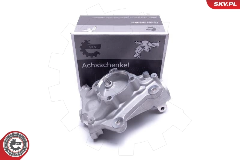 Steering Knuckle, wheel suspension